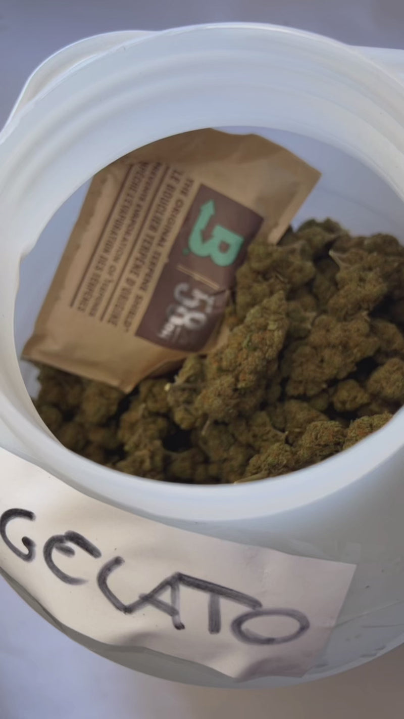 Carica e riproduci video in Gallery Viewer, 🍦 Gelato