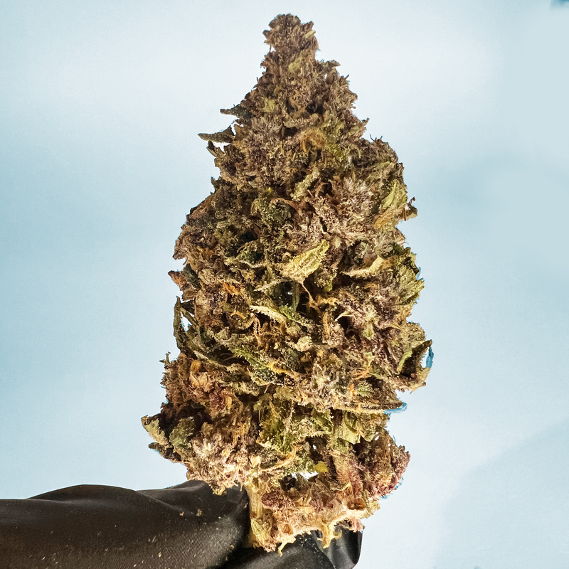 Carica immagine in Galleria Viewer, 💜 Purple '25