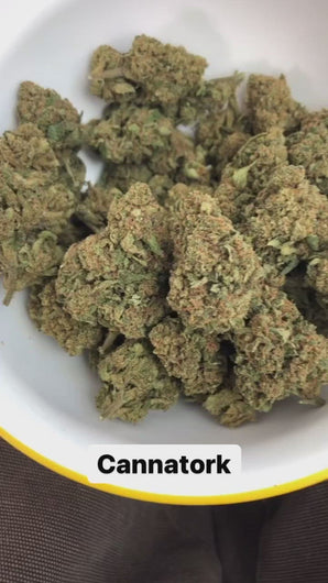 CannaTork: La cannabis legale dal sapore intenso e con cime perfette!
