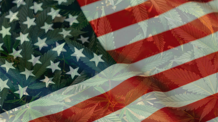 Gli Stati Uniti si avvicinano alla legalizzazione federale. Ma cosa vuol dire?