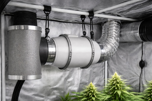 guida alla scelta aspiratore growbox coltivare cannabis