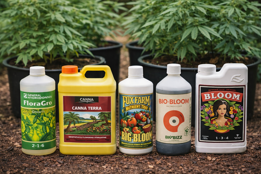 quale fertilizzante scegliere guida coltivazione cannabis