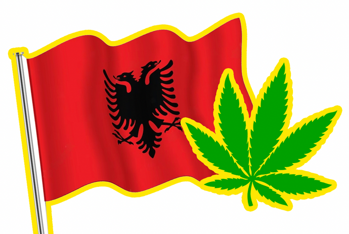 L’Albania ha legalizzato la coltivazione della cannabis a uso terapeutico.