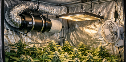 aspiratore ventilatore gestre umidità cannabis indoor