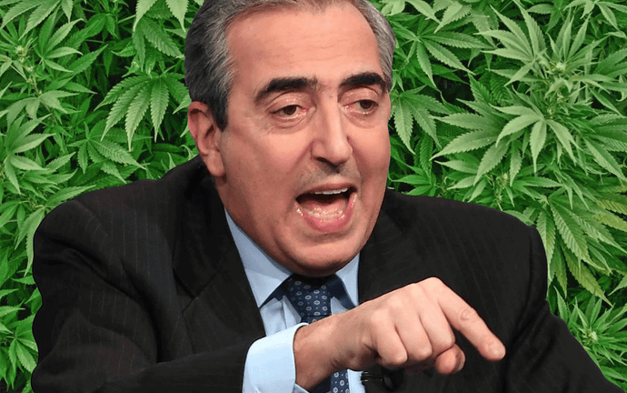 Il nuovo governo cerca di fermare la cannabis legale