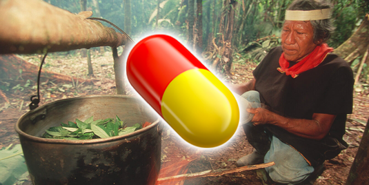 In Canada è stata creata la prima pillola di Ayahuasca al mondo!