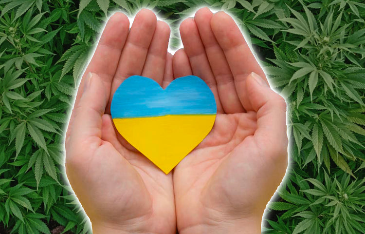 L’Ucraina legalizzerà la Cannabis per contrastare gli effetti negativi della guerra