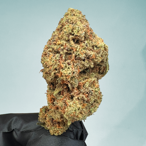 🍦 Gelato
