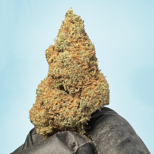 🥭 Mango