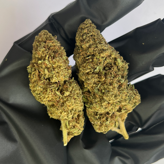 🥭 Mango '25