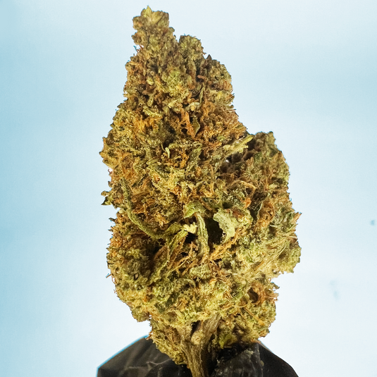 🍭 Fruit Candy '25