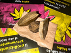 Campionario Hash